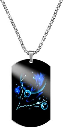 Caimeytie Halskette für Herren,Halskette Edelstahl männer,Sternzeichen anhänger,Kette konstellation,Astrologie Kette,60CM,Geschenk für Männer,Erkennungsmarke,Fisch