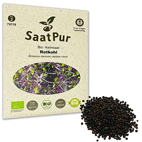 Rotkohl BIO Keimsprossen von SaatPur - Keimsaat für Sprossen, Microgreens - 20g