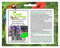 Stk - 15x Echium candicans Natternkopf Garten Pflanzen - Samen B2065 - Seeds & Plants Shop by Ipsa