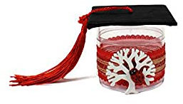 24x Barattolo RICORDO Laurea bomboniera Albero della Vita Tappo Tocco Laurea Vellutato per Confetti H.6 X 5,5 X 5,5 cm Rossocon Coccinella e Merletto