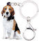 NEWEI Acrylique Chien Porte Clef Cute Chien Mignon Anneau Mousqueton Porte Clé Idee Cadeau Femmes Filles (Beagle Dog)
