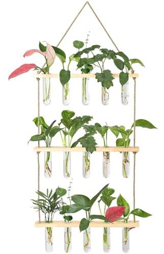 XXXFLOWER Wall Hanging Propagation Station with Wooden Stand 15 Tubes