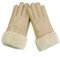 Woolous Lammfell Schaffell Handschuhe Damen, Wolle-Futter Thermohandschuhe Winter, Super Warm und Atmungsaktiv Gloves für Autofahren, Motorradfahren, Alltag (Beige)