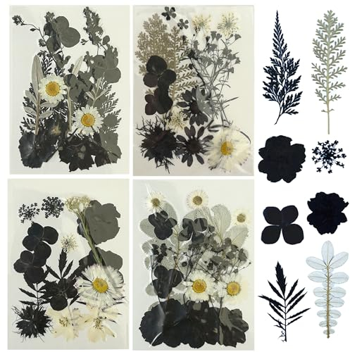 Woohome 4 Packung Getrocknete Blumen Natürliche Trockenblumen für Epoxidharz für Harz, Getrocknete Gepresste Blätter, Natürliche Trockene Blätter für DIY Harz Schmuck Nail Crafts Art Blumendekoration