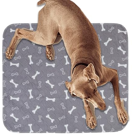 Dressurmatte für Hunde – saugfähige Bodendecke, verstärkte Hundepraxis | vielseitige Hilfe für den Haushalt, Reisestation im Freien, Unterstützung für ältere Begleiter, Rahmen