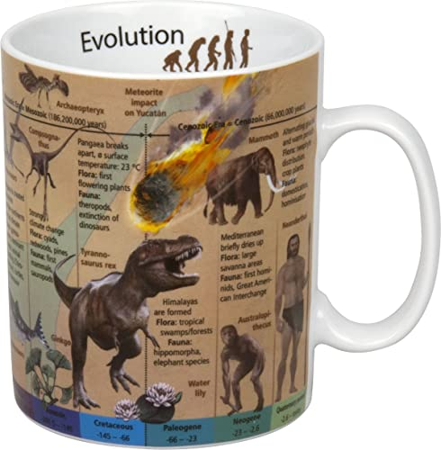Konitz Wissensbecher Evolution (Englisch)