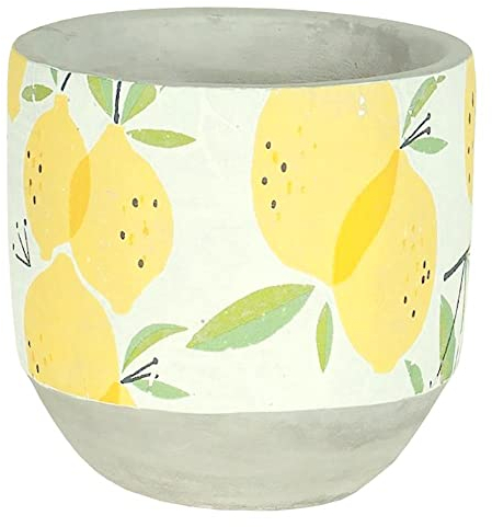 Lucky Winner Meyer Blumentopf mit frischer Zitrone, Zement-Sukkulenten-Übertopf für drinnen und draußen, Hausgartendekoration, Meyer-Zitronenbaum-Blumentopf für Land, Landhaus-Dekoration,