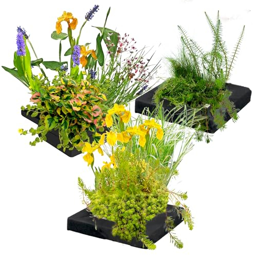 vdvelde.com - Schwimmpflanzeninsel Trio - 25 cm - - Filterpflanzen- 12 wasserreinigende Pflanzen- Platzierung: lose auf dem Wasser