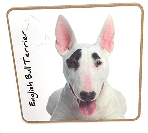 English Bullterrier Hund Untersetzer für Getränke Kaffee Tee 9,5 x 9,5 cm Geburtstag Geschenk Weihnachten Nikolausstiefel Hund Papa Mama Geschenk Hundeliebhaber