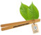 HOFMEISTER® Grillzange aus edlem Kirschholz mit Gravur des Namens und Wunschspruch, Geschenk für Männer, Vatertag, BBQ, nachhaltig, hitzebeständig & langlebig, 30 cm, Zange aus Holz