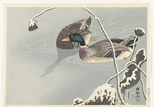 IPLUPJDY Bilder Moderne Bilder Moderne Druck Leinwand Malerei Kaulquappen von Ohara Koson für Wanddekoration60x90cm