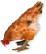 colourliving Gartendeko Huhn Figur Deko Hühner Deko Hennen Bauernhof Tiere Hühner Figuren (Braun 2)