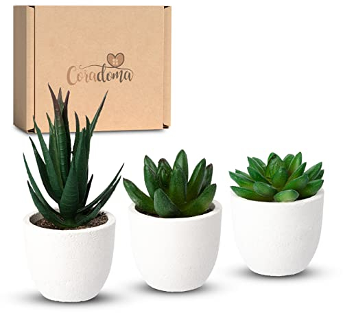 Coradoma Künstliche Pflanzen Mini 3er Set Weiß Dekoration Kunstpflanzen im Topf | Wohnzimmer Deko modern Küchendeko | Kunstblume Sukkulente Fensterbank Schreibtisch Wanddeko Büro Schlafzimmer