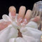 24PCS Long False Nails with Glue Stickers, Ballerina Full Cover Acrylic and Press on Nails no Glue,White Rose French Fake Nails Stick for Women and Girls Nail Art