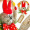 Osterkranz mit Hase aus Stroh 25cm | dekorativer Türkranz mit Aufhänger | natürliche Osterdekoration zum Aufhängen Tür | handgefertigt