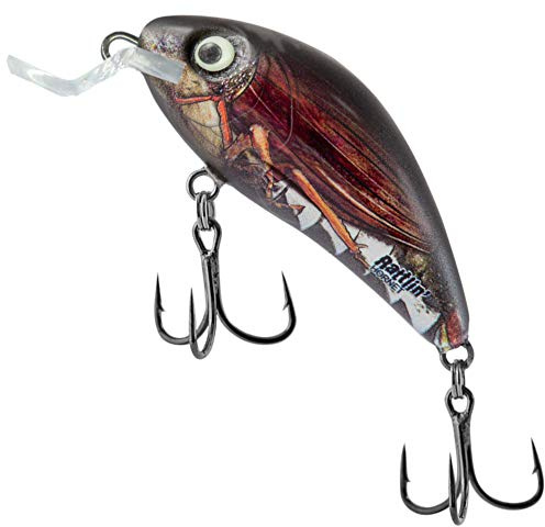 Salmo Rattlin Hornet 4,5cm 5,5g Shallow - schwimmender Wobbler, Salmo Farben:Real Cockchafer