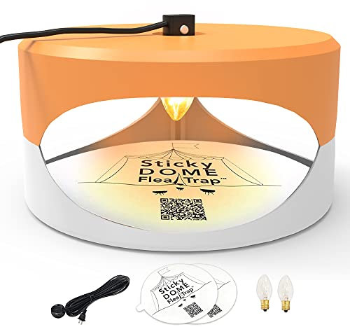 Orange and White Gray ASPECTEK - Trapest Sticky Dome Flea Bed Bug Trap with 2 Glue Discs. Odorless Cleaner and Flea Killer Trap Pad (Flea Trap)