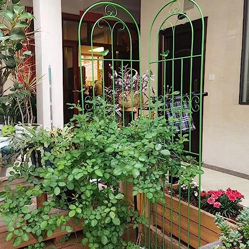1 Stück Garten Rankgitter, 180/200/220 cm Hoch, Dekoration, Gewölbter Zaun, Spalier Für Kletterpflanzen, Für Terrasse, Rasen, Hof, Hinterhof, Wandhalterungen(Color:Green,Size:200cm/78.4inch)