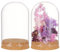BENECREAT 2 Ensemble Dôme D'Affichage en Verre avec Base en Liège, Pot de Cloche de Pièce Maîtresse de Table de 80x117.5mm pour Plantes à Fleurs, Spécimens Décorations, Diamètre Intérieur: 76 mm
