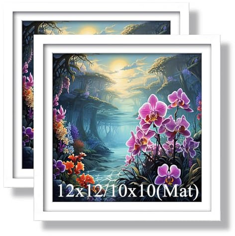 Aeadar Lot de 2 cadres photo pour peinture diamant, adaptés pour photos de 30 x 30 cm, peinture à l'huile, toile, cadre en bois avec tapis, art mural déco (lot de 2, blanc)