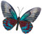 Butterfly Garden Ornament Wall Art Shudehill Home Decoration Metal Large Teal