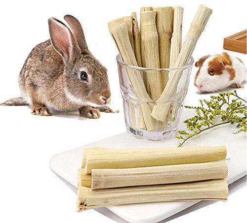 Dbeans Flourithing 300G/10.5Oz Sweet Bamboo,Jouet Lapin Nain IntéRieur,Plante Haute Fibre Molaire Petite Aide,Convient pour, Lapin,Cochon d'Inde,Etc.