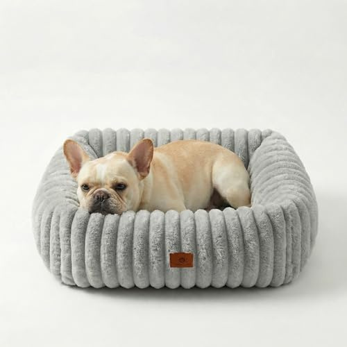 CareCooo Hundebett kleine Hunde & Katzenbett, Grau, S 50x48x15 cm | waschbar, abnehmbarer Bezug, flauschig, rutschfest