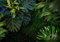 decomonkey Fototapete selbstklebend Palmen 392x280 cm XL Selbstklebende Tapeten Wand Fototapeten Tapete Wandtapete klebend Klebefolie Blätter Pflanzen Natur grün