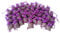1 More Tree 50 Dried Lavender Bags Fresh Handmade Naturally Fragranced potpourri Moth Repellent NEW