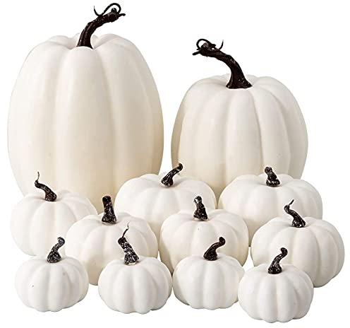 Btruely Kürbis Herbst Deko Dekoration Draußen, Groß Mini Weiß Kürbisse Zierkürbisse Herbstdeko Herbstdekorationen Halloween 12 Stück (Weiß, 12 Stück)