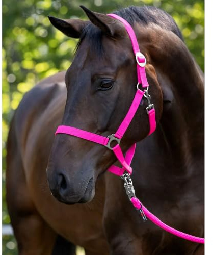 Brama West COVALLIERO Halfterset für Pferde Hyppo | Verstellbares Pferdehalfter | Halfter & Strick 2m mit Panikhaken (Pink, Full)