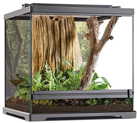 Exo Terra Dart-Frosch-Terrarium