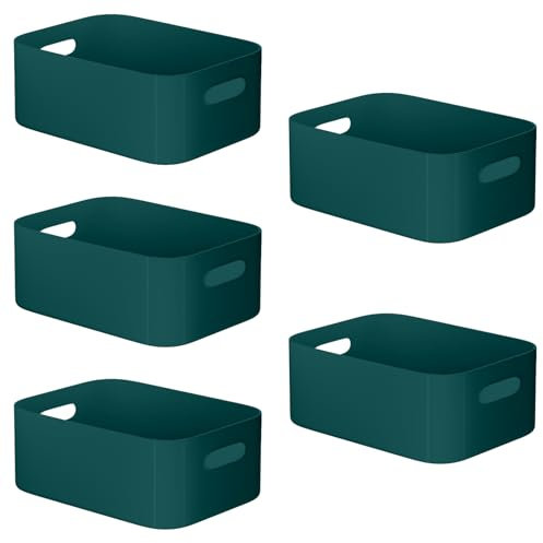 W&H 5 PCS Plastic Storage Boxes, Medium Plastic Storage Baskets with Handle, Home & Kitchen Cupboard Boxes, Organizer Baskets for Bathroom, Shelf, Office - 25×17×10cm (Blue)