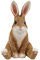 colourliving Hasenfigur Theo | Osterhasen Figuren Hasenbüsten Hasenohren | Deko Hasen für den Garten oder das Haus | Verschiedene Motive (sitzend_V)