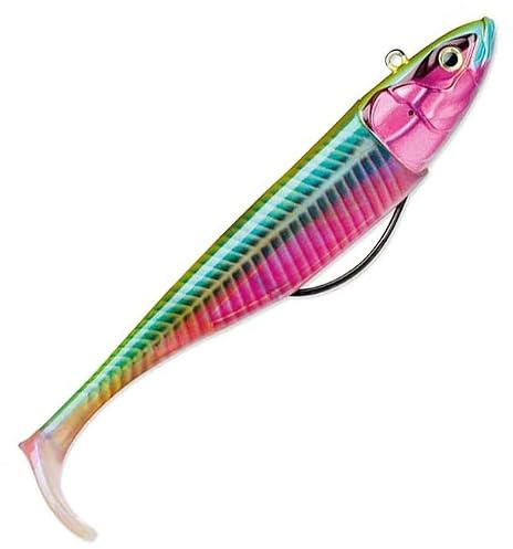 BISCAY SHAD 14-67G SSDL