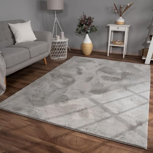 TT Home Wohnzimmer Teppich Hochflor Langflor Kunstfell Weich Modern Unifarben Flauschig, Farbe: Grau, Größe:200x280 cm