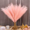 VMINOG Pampas Decorative 30 Pezzi Piume Decorative,Fiori Secchi Decorativi,55 Cm Bouquet Fiori Secchi,Arredamento Boho Pampas Decorative Alte,Per Matrimoni, Feste,Home Decor(Rosa)