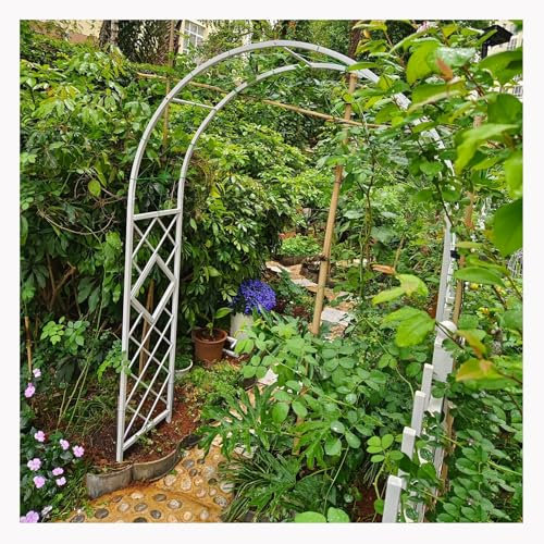 Arche de jardin en métal avec grandes arches de roses pour plantes grimpantes 3 m x 2,3 m arche de jardin incurvée arborant cadre