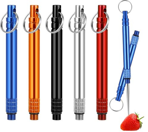 Palillos De Dientes, 5 Piezas Metal Toothpick Reutilizable Portátil Estante Protector Para Picnics y Acampadas Al Aire Libre, 5 Colores