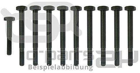 Reinz 14-55100-01 DANA