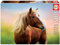 Educa 19000, Pferd im Sonnenaufgang, 500 Teile Puzzle für Erwachsene und Kinder ab 10 Jahren, Landschaft, Tierpuzzle