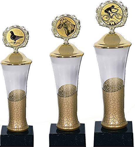 Henecka Glaspokal Finn mit goldenem Deckel, Trophäe personalisierbar, Ehrung, Auszeichnung, Wanderpokal, 30cm