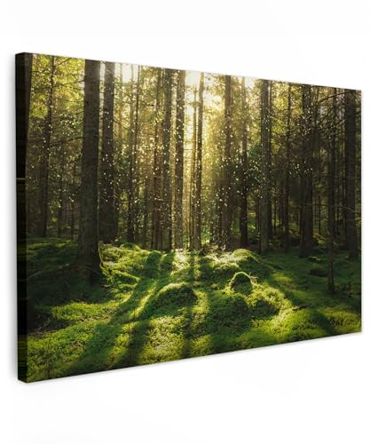 MuchoWow© Wandbilder 60x40 cm Schlafzimmer Home Deko Wohnung Bild Wohnzimmer Fotoleinwand Wand Bilder Leinwand Wall Decor Bäume - Wandbild Wald - Moos - Pflanzen - Sonne - Natur