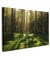 MuchoWow© Wandbilder 60x40 cm Schlafzimmer Home Deko Wohnung Bild Wohnzimmer Fotoleinwand Wand Bilder Leinwand Wall Decor Bäume - Wandbild Wald - Moos - Pflanzen - Sonne - Natur