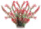 Hariendny Large Aquarium Plants 28 cm Fish Tank Plastic Plant Decor Artificial Plastic Fish Tank Plants Decoration Ornament Aquarium Plants Decorations Fish Tank Accessories for All Fish