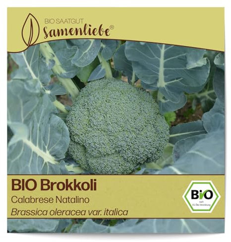 Samenliebe BIO Brokkoli Samen alte Sorte Calabrese Natalino milder italienischer Broccoli Kohl grün 120 Samen samenfestes Gemüse Saatgut für Gewächshaus Freiland und Balkon BIO Gemüsesamen