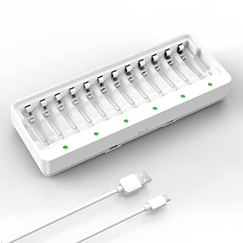 12 Fach Akku Ladegerät AA AAA, Dlyfull Batterieladegerät für AA AAA NI-MH NI-CD Akkus mit Type C und Micro USB Eingangsport, Schnelle Akkuladegerät mit LED Anzeige für Wiederaufladbar Batterien
