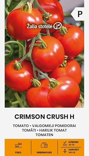 Zalia stotele | Tomaten - Crimson Crush H samen | Gemüsesamen | Pflanze samen | Tomatensamen | Eine frühe, hochwachsende Hybride | Die runden, roten Früchte | 1 Pack