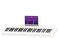 Tastiera Musicale Digitale Pianoforte Strumento A Tastiera Elettronica Con 61 Tasti Sensibili Alla Velocità Ponderata Portatile Pianoforte Elettronico (Color : 02)