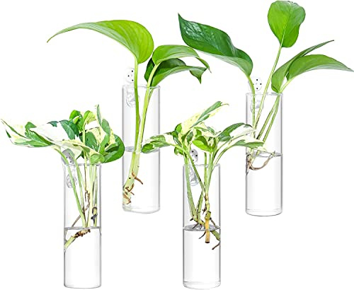 Ivolador 4 Stück Wandbehang Glas Pflanze Terrarium Container Zylinderform Perfekt für die Vermehrung Hydrokulturpflanzen Home Office Garden Decor Hochzeit